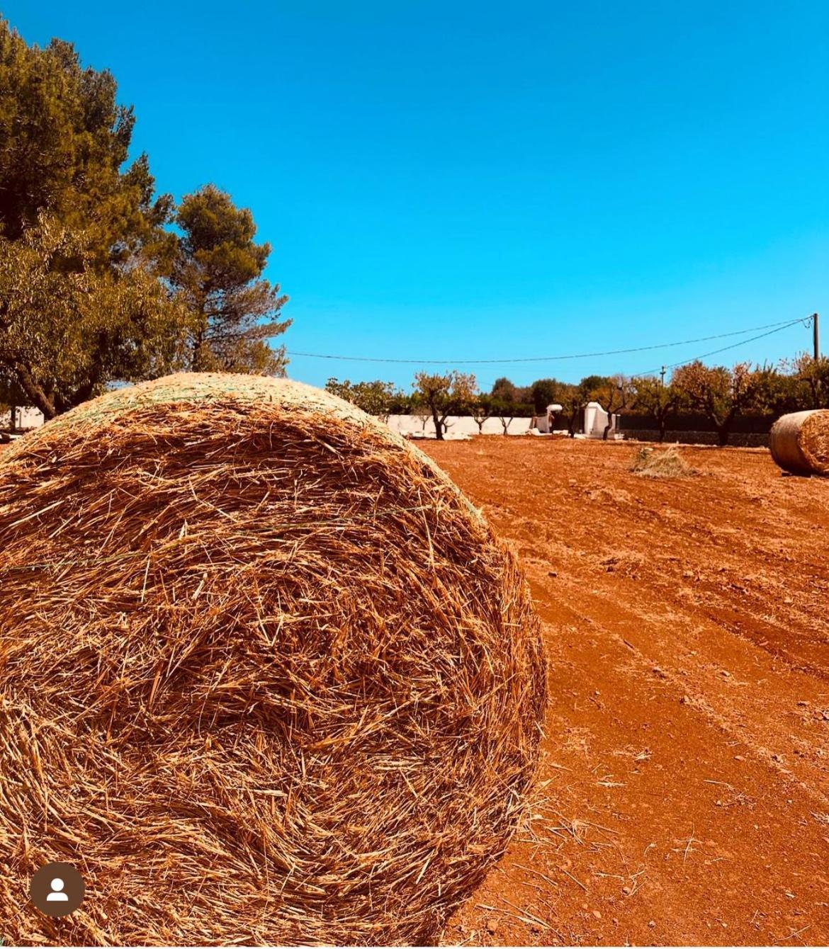 Ca Summa Agriresort Ostuni Buitenkant foto